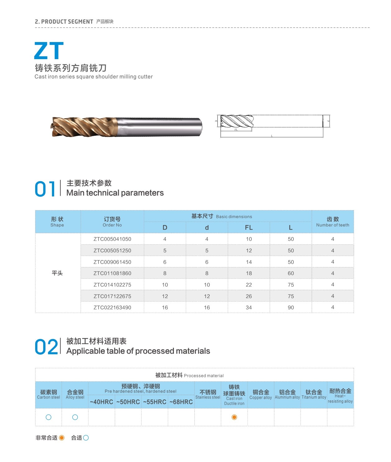 ZT (2).JPG